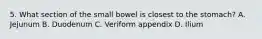 5. What section of the small bowel is closest to the stomach? A. Jejunum B. Duodenum C. Veriform appendix D. Ilium