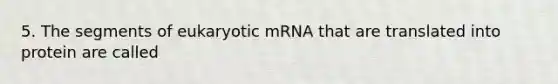 5. The segments of eukaryotic mRNA that are translated into protein are called