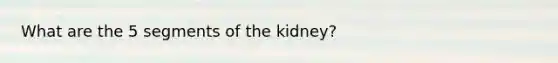 What are the 5 segments of the kidney?