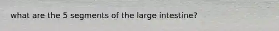 what are the 5 segments of the <a href='https://www.questionai.com/knowledge/kGQjby07OK-large-intestine' class='anchor-knowledge'>large intestine</a>?