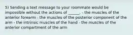 5) Sending a text message to your roommate would be impossible without the actions of ______. - the muscles of the anterior forearm - the muscles of the posterior component of the arm - the intrinsic muscles of the hand - the muscles of the anterior compartment of the arm