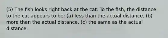 (5) The ﬁsh looks right back at the cat. To the ﬁsh, the distance to the cat appears to be: (a) less than the actual distance. (b) more than the actual distance. (c) the same as the actual distance.