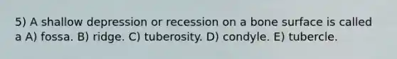 5) A shallow depression or recession on a bone surface is called a A) fossa. B) ridge. C) tuberosity. D) condyle. E) tubercle.