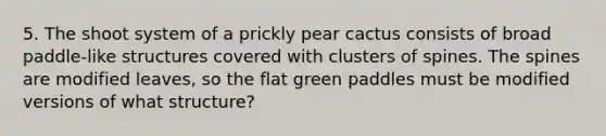 5. The shoot system of a prickly pear cactus consists of broad paddle-like structures covered with clusters of spines. The spines are modified leaves, so the flat green paddles must be modified versions of what structure?