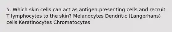 5. Which skin cells can act as antigen-presenting cells and recruit T lymphocytes to the skin? Melanocytes Dendritic (Langerhans) cells Keratinocytes Chromatocytes