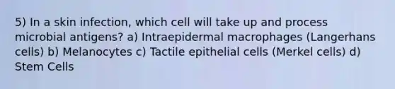 5) In a skin infection, which cell will take up and process microbial antigens? a) Intraepidermal macrophages (Langerhans cells) b) Melanocytes c) Tactile epithelial cells (Merkel cells) d) Stem Cells