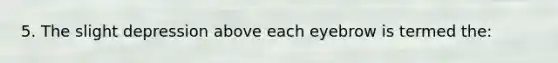 5. The slight depression above each eyebrow is termed the: