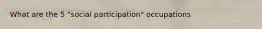 What are the 5 "social participation" occupations