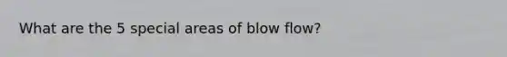 What are the 5 special areas of blow flow?