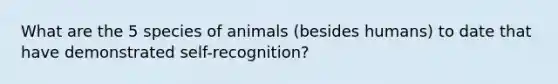 What are the 5 species of animals (besides humans) to date that have demonstrated self-recognition?