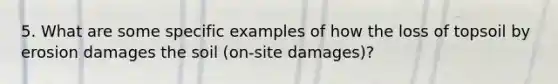 5. What are some specific examples of how the loss of topsoil by erosion damages the soil (on-site damages)?