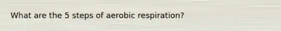 What are the 5 steps of aerobic respiration?