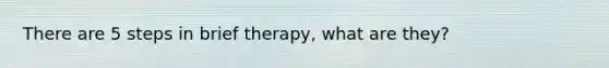 There are 5 steps in brief therapy, what are they?