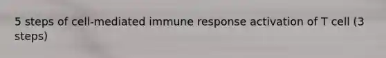 5 steps of cell-mediated immune response activation of T cell (3 steps)