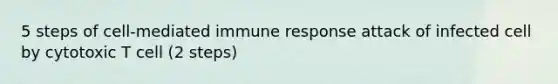 5 steps of cell-mediated immune response attack of infected cell by cytotoxic T cell (2 steps)