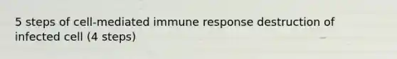 5 steps of cell-mediated immune response destruction of infected cell (4 steps)