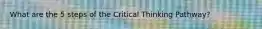 What are the 5 steps of the Critical Thinking Pathway?