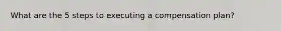 What are the 5 steps to executing a compensation plan?