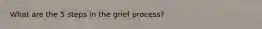What are the 5 steps in the grief process?