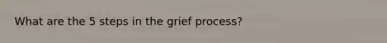 What are the 5 steps in the grief process?