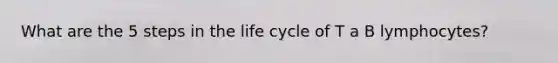 What are the 5 steps in the life cycle of T a B lymphocytes?