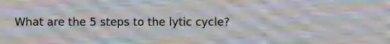 What are the 5 steps to the lytic cycle?