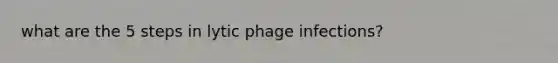 what are the 5 steps in lytic phage infections?