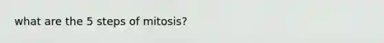 what are the 5 steps of mitosis?