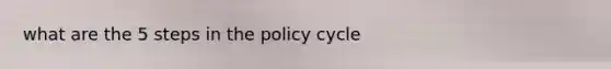 what are the 5 steps in the policy cycle