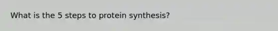 What is the 5 steps to <a href='https://www.questionai.com/knowledge/kVyphSdCnD-protein-synthesis' class='anchor-knowledge'>protein synthesis</a>?