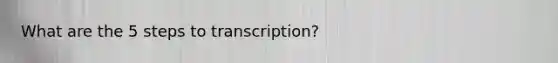 What are the 5 steps to transcription?