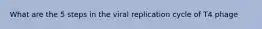 What are the 5 steps in the viral replication cycle of T4 phage