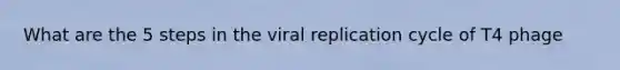 What are the 5 steps in the viral replication cycle of T4 phage