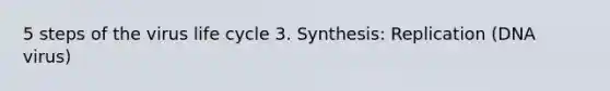 5 steps of the virus life cycle 3. Synthesis: Replication (DNA virus)