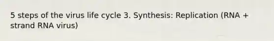 5 steps of the virus life cycle 3. Synthesis: Replication (RNA + strand RNA virus)