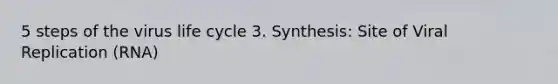 5 steps of the virus life cycle 3. Synthesis: Site of Viral Replication (RNA)