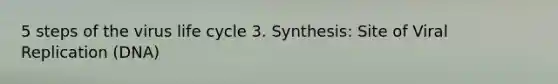 5 steps of the virus life cycle 3. Synthesis: Site of Viral Replication (DNA)