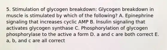 5. Stimulation of glycogen breakdown: Glycogen breakdown in muscle is stimulated by which of the following? A. Epinephrine signaling that increases cyclic AMP B. Insulin signaling that activates glycogen synthase C. Phosphorylation of glycogen phosphorylase to the active a form D. a and c are both correct E. a, b, and c are all correct