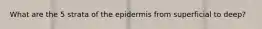 What are the 5 strata of the epidermis from superficial to deep?