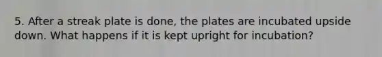 5. After a streak plate is done, the plates are incubated upside down. What happens if it is kept upright for incubation?