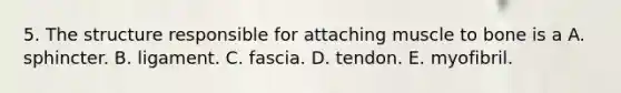 5. The structure responsible for attaching muscle to bone is a A. sphincter. B. ligament. C. fascia. D. tendon. E. myofibril.