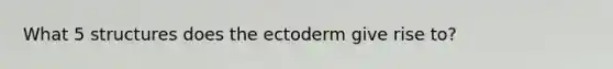 What 5 structures does the ectoderm give rise to?