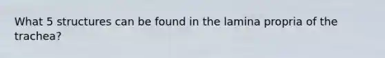 What 5 structures can be found in the lamina propria of the trachea?