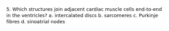 5. Which structures join adjacent cardiac muscle cells end-to-end in the ventricles? a. intercalated discs b. sarcomeres c. Purkinje fibres d. sinoatrial nodes