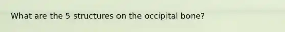 What are the 5 structures on the occipital bone?