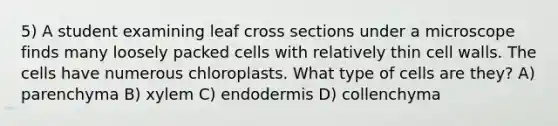 5) A student examining leaf cross sections under a microscope finds many loosely packed cells with relatively thin cell walls. The cells have numerous chloroplasts. What type of cells are they? A) parenchyma B) xylem C) endodermis D) collenchyma