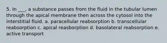 5. In ___, a substance passes from the fluid in the tubular lumen through the apical membrane then across the cytosol into the interstitial fluid. a. paracellular reabsorption b. transcellular reabsorption c. apical reasborption d. basolateral reabsorption e. active transport