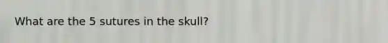 What are the 5 sutures in the skull?