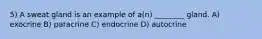 5) A sweat gland is an example of a(n) ________ gland. A) exocrine B) paracrine C) endocrine D) autocrine