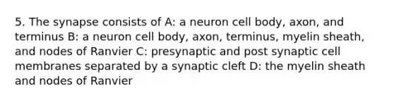 5. The synapse consists of A: a neuron cell body, axon, and terminus B: a neuron cell body, axon, terminus, myelin sheath, and nodes of Ranvier C: presynaptic and post synaptic cell membranes separated by a synaptic cleft D: the myelin sheath and nodes of Ranvier